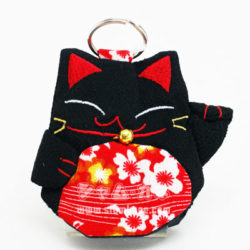 แมวใส่กุญแจ สีดำพุงแดง