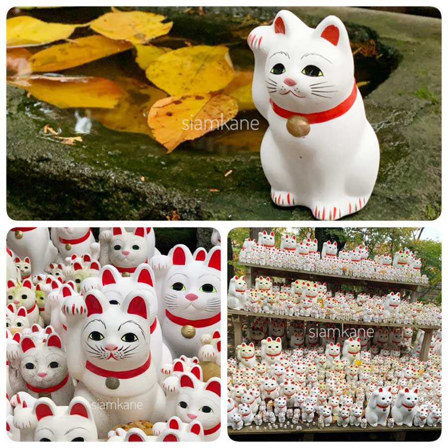 แมวกวัก จากวัด gotokuji temple 4 โตเกียว