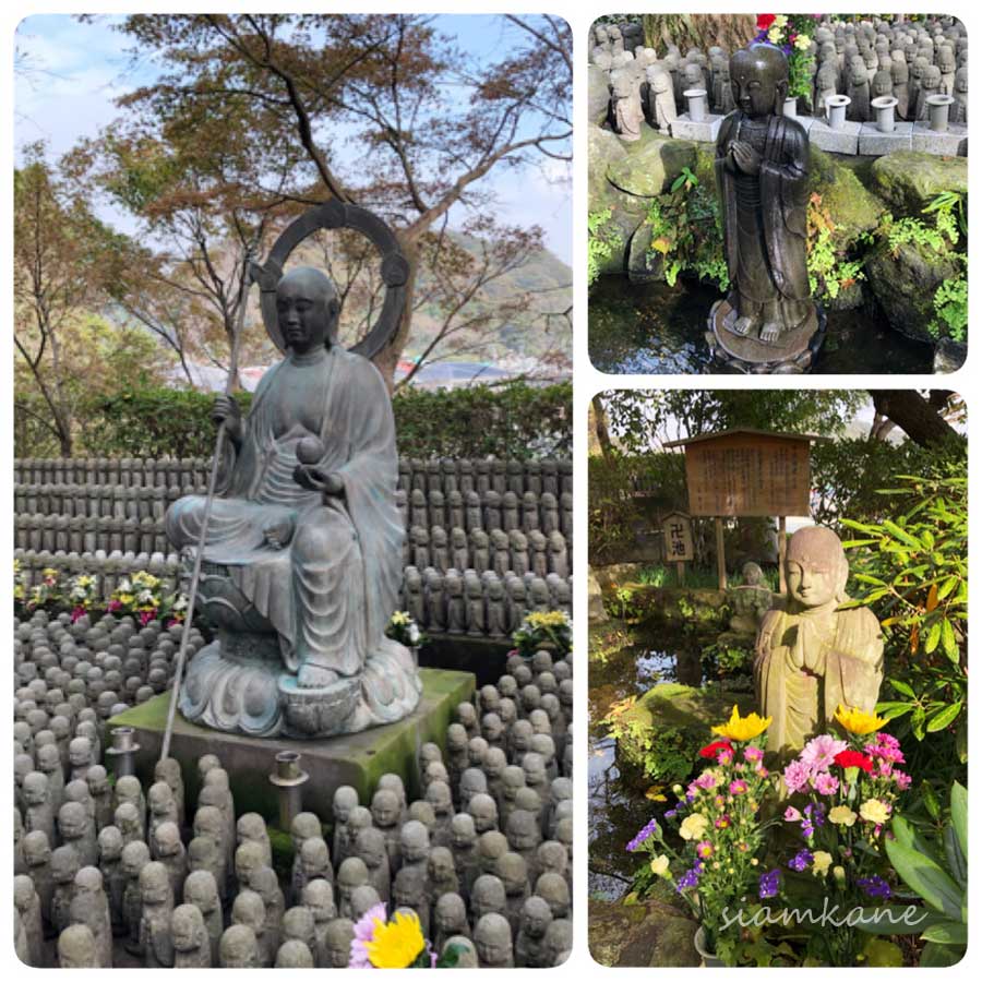 hasedera-5