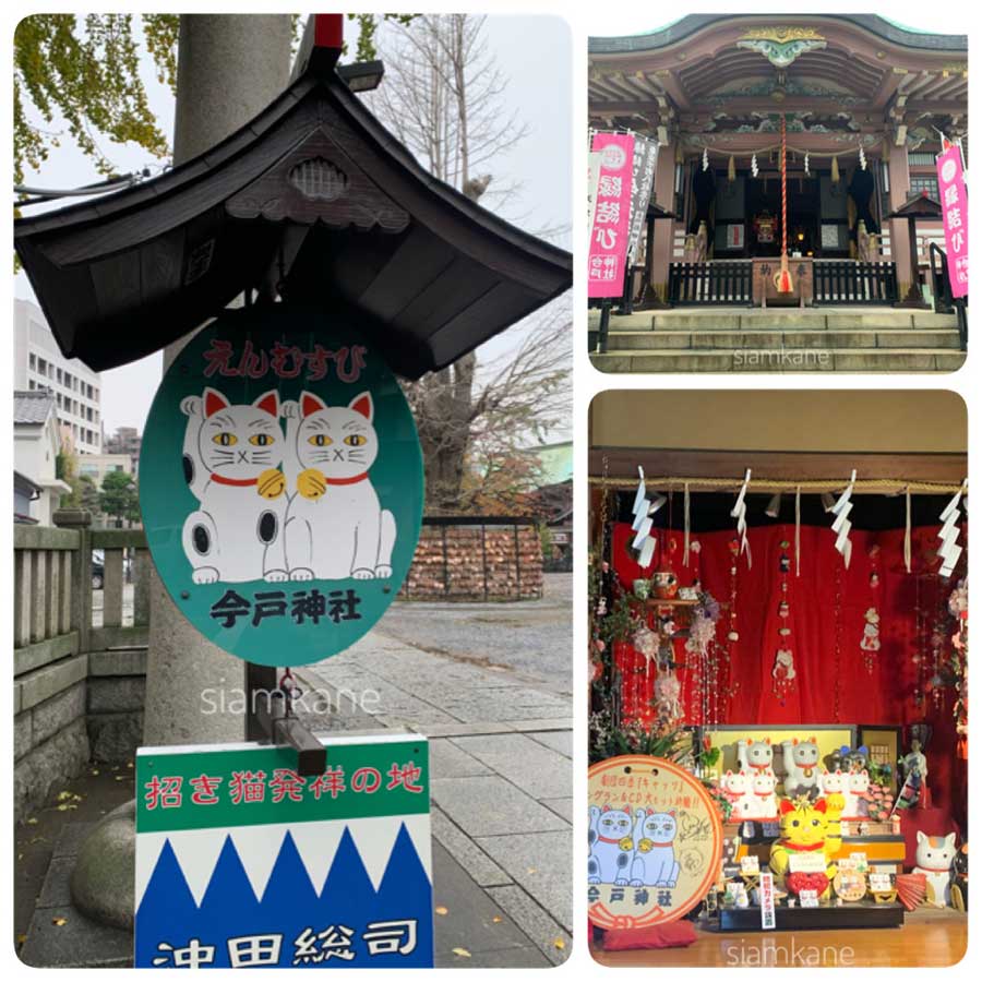 วัดแมกวัก ศาลเจ้าแมวกวัก Imado-shrine Tokyo