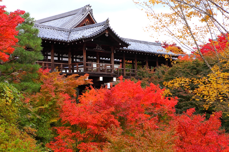 tofukuji